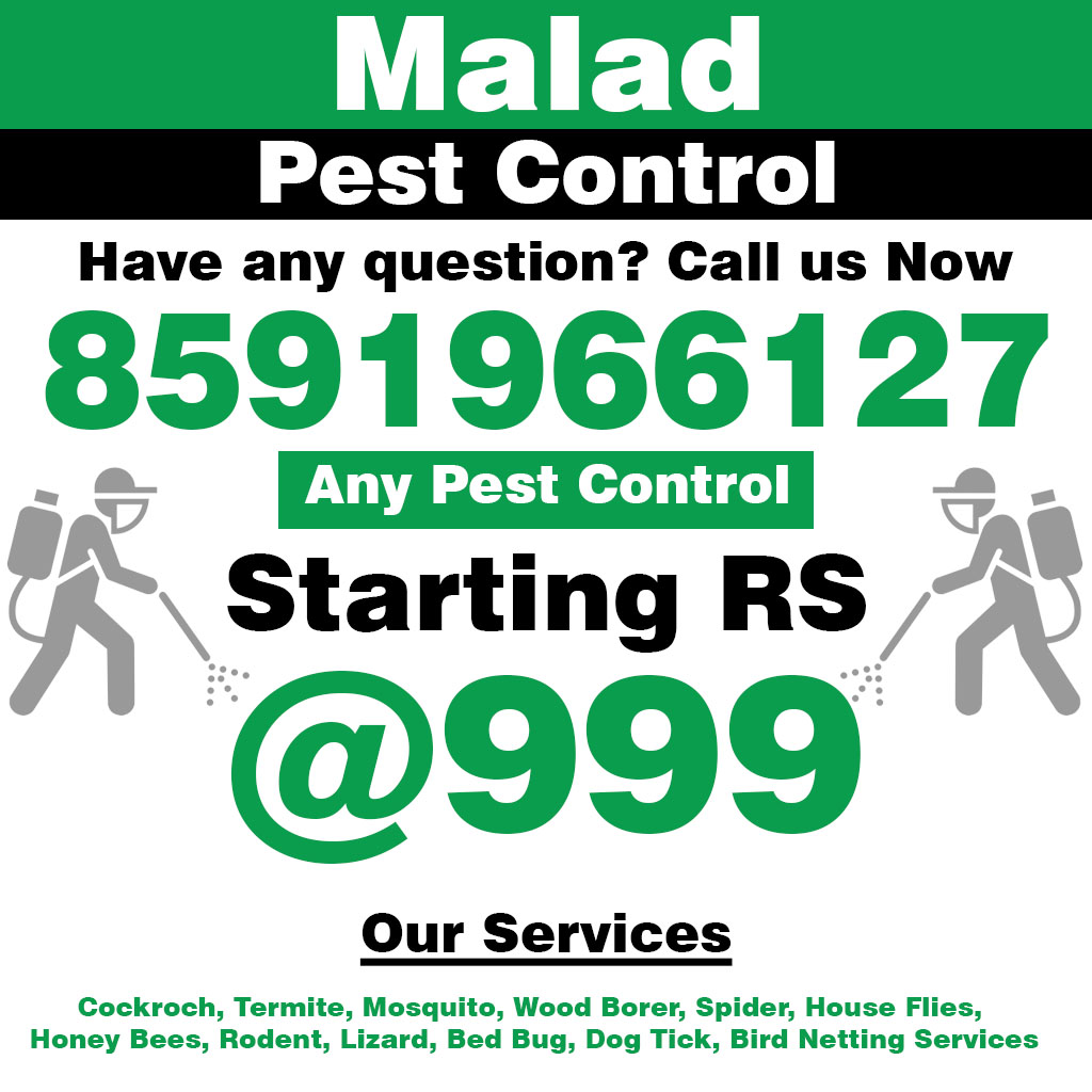 Pest Control Malad, No 1 Pest Control In Malad For Cockroach Pest Control